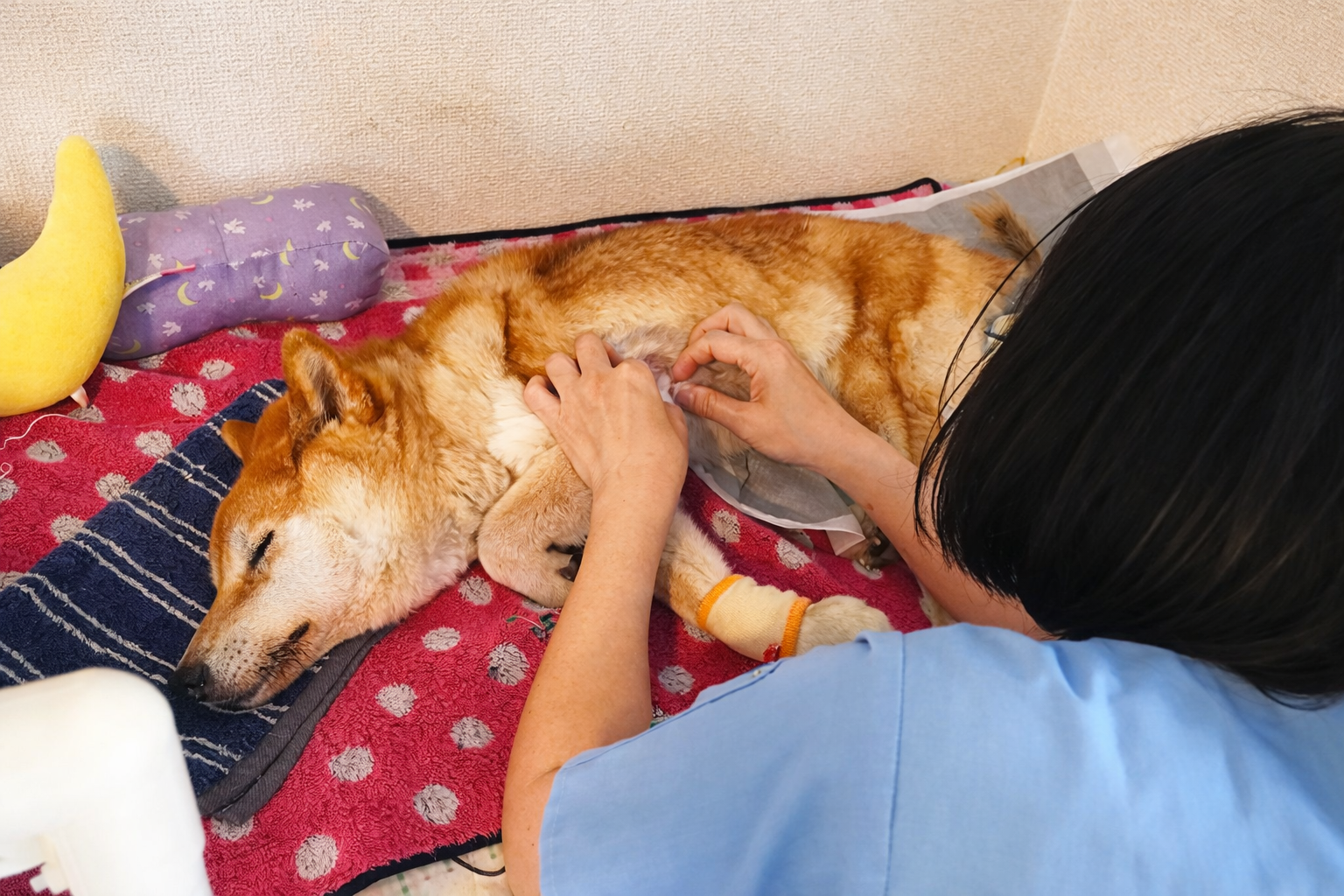 見守りと体調管理